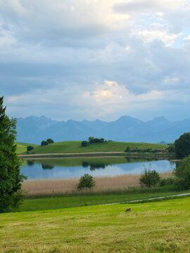 germany, peaceful waters reflecting alpine beauty beside lush summer meadows beneath soft textured clouds