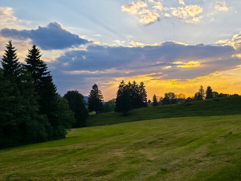germany, glowing orange sunset above forest edge and vibrant green fields in enchanting summer countryside