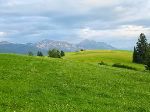 germany, endless green meadows rolling toward distant alpine peaks beneath clear luminous summer skies
