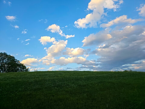 germany, solitary tree beneath glowing clouds above panoramic meadows in unforgettable summer evening light