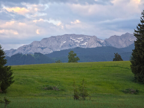 germany, rugged buchenberg rocks illuminated by alpenglow with conifers and alpine vistas at sunset