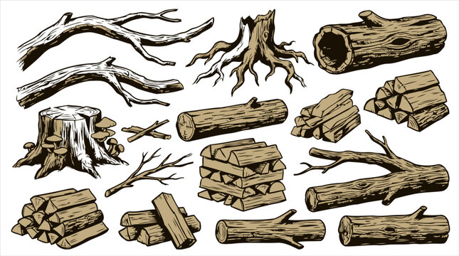 Collection of various wood elements including tree branches, stumps with mushrooms, logs, and stacked firewood piles, hand-drawn vector illustration.