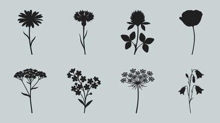Fototapeta premium Eight botanical flower silhouettes on a pale blue background, a versatile vector collection for design and print projects