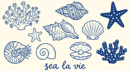 Sea la vie marine doodle collection featuring coral shells starfish and underwater ocean elements for beach themed branding coastal decoration and tropical travel projects © jonty