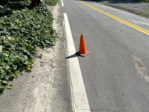 Roadside Caution: Bright orange traffic safety cone placed on the shoulder of a rural two lane asphalt road lined with overgrown green ivy