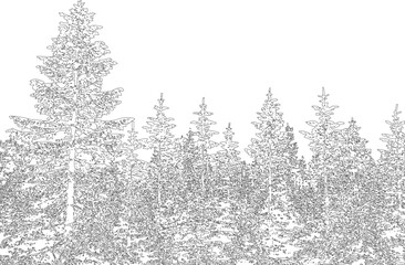 Coniferous Forest Outline Landscape. Pine Trees Sketch Line Art Graphic © Jewel