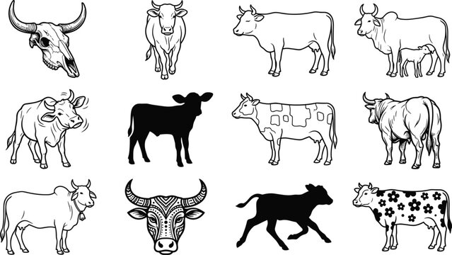 Vintage Retro Cattle and Bull Breeds Vector Clipart Set Featuring Longhorn Skull Tribal Bull Head Cow Outlines and Calf Silhouettes Isolated on White