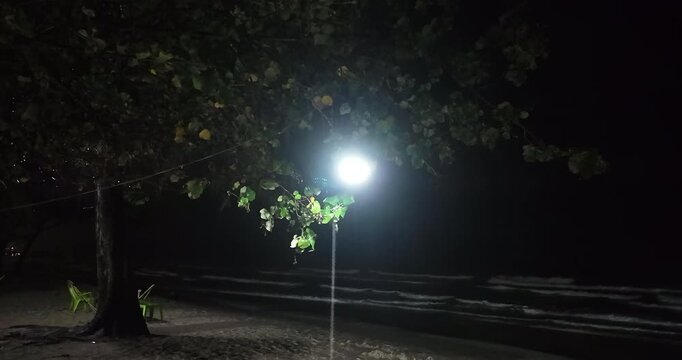 A bright light illuminates a rainy beach at night, casting a glow on the overhanging tree branches and the dark waves crashing on the shore.