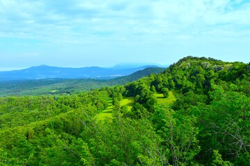 Forest covered landscape with a glade at Kras in Notranjska, Slovenia © kato08