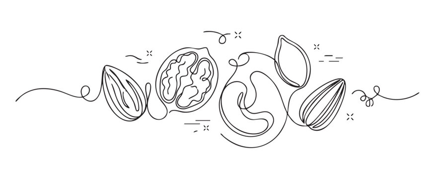 Continuous line art illustration of a healthy nuts and seeds mix including almond, walnut, and cashew, designed as a minimalist vector graphic for healthy nutrition concept
