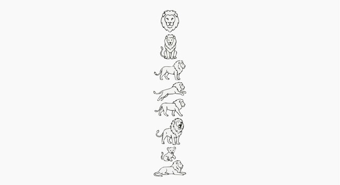 Animal Line Art Vector Set Isolated on White Background 