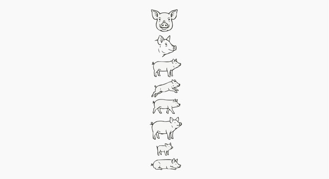 Animal Line Art Vector Set Isolated on White Background 