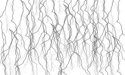 Obraz premium Black abstract tangled lines background, chaotic twisted branches pattern