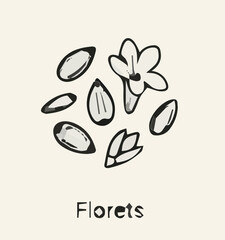 Fototapeta premium Coffee beans vector illustration with green leaves represents an organic nature logo and eco symbol for natural bio design