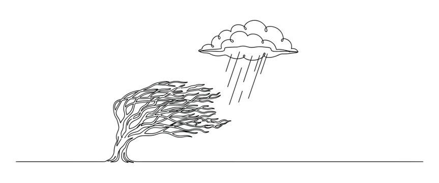 Windy tree bending in rain during storm.