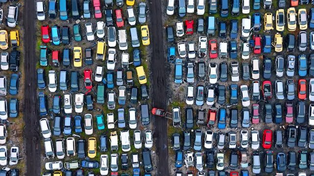 Overhead drone view of multi colored cars in junkyard. Top down shot of rows of scrap vehicles with a red forklift moving down the central dirt road.