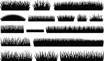 Green grass collection isolated on white, various bundles of lush natural vegetation © MstRina