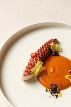 Octopus tentacles