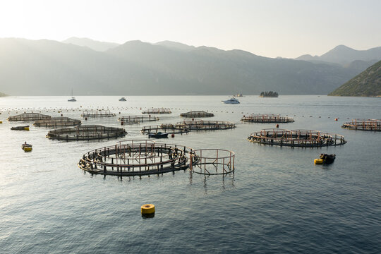 Fish Farming Site in a Bay With mountains 