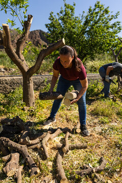 Woman collecting firewood branches after tree pruning outdoors