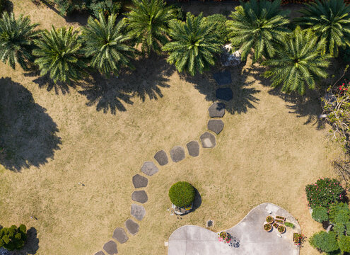 Aerial Tropical Garden with Curved Stone Pathway