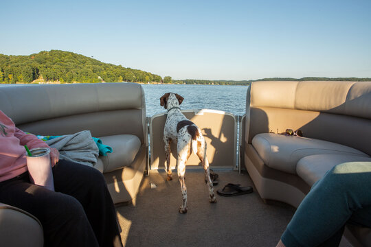 Happy Dog on Pontoon Boat with Human Legs in Foreground