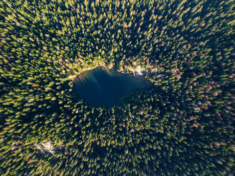 Top down drone View of a Forest With a Lake in the Center