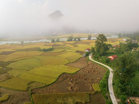 Foggy farmland aerial