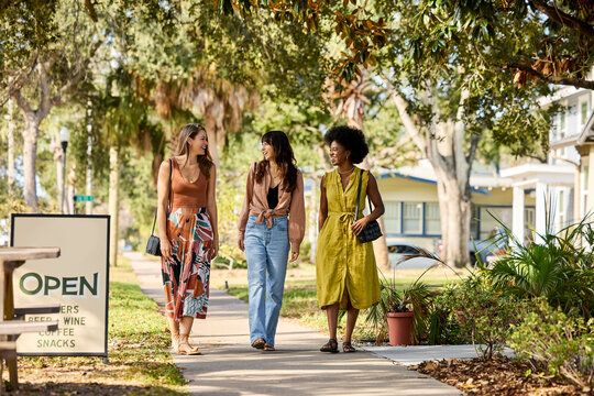 Friends Walk Along a Path in a Sunny Area