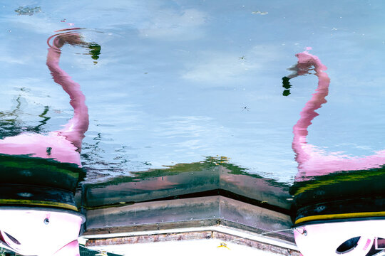 Abstract reflection of a pink flamingo 
