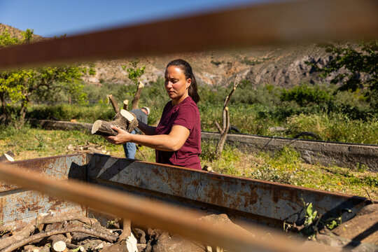 Woman gathering firewood for sustainable living in rural farm