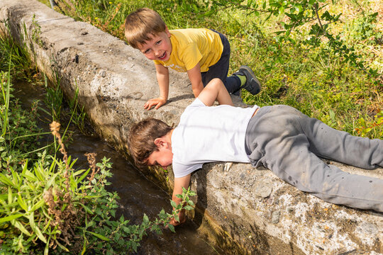 Young boys exploring stream in natural outdoor setting