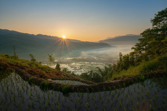Sunrise Star Over Fields
