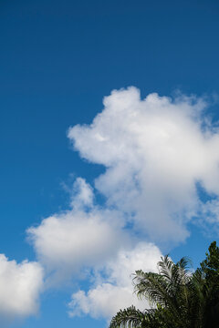  White clouds with blue sky