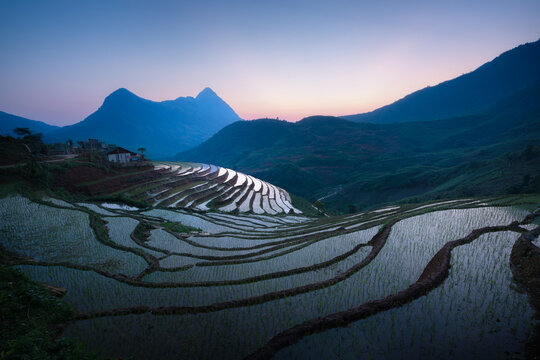 Terraced Fields Blue Hour