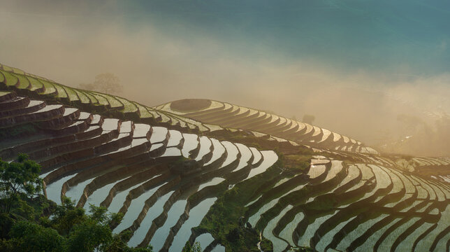 Curving Terraces Pattern