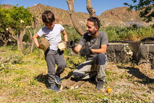 Father and son pruning trees, working together outdoors