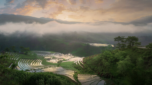 Misty Terraces at Sunrise