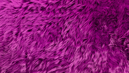 Vibrant magenta pink faux fur texture background, luxury fluffy fabric material banner, soft synthetic hair textile shaggy pattern, glamorous decorative magenta purple wool rug background. © WONGSAKORN