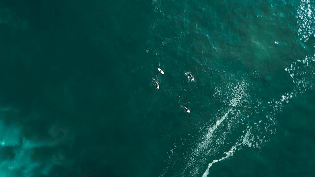 Aerial drone view of surfers, surfing paddling, duck diving, with beautiful blue collars and glass sea