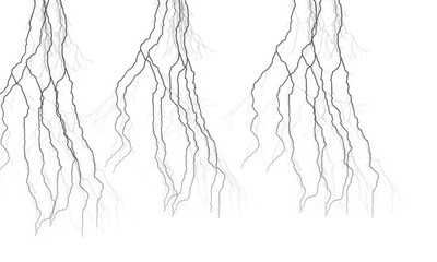 Fototapeta premium Black tangled roots or branches illustration, minimalist line art for design and decoration