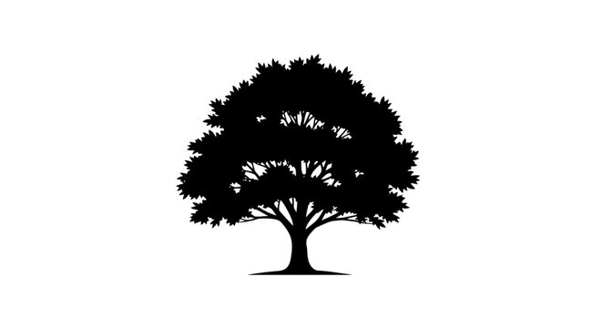 CAD tree lines Tree silhouette, black tree icon, tree logo, vector tree Vector