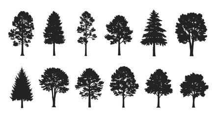 CAD tree lines Tree silhouettes, black tree icons, forest trees, vector graphics Vector © MstShopna