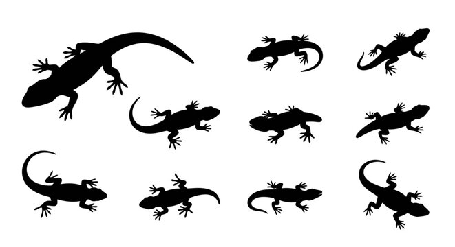 A diverse collection of black lizard and gecko silhouettes, capturing various reptilian poses and natural forms, ideal for wildlife and nature-themed designs