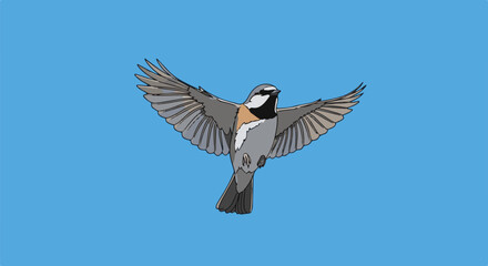 Fototapeta premium A small bird with spread wings flies across a clear blue sky