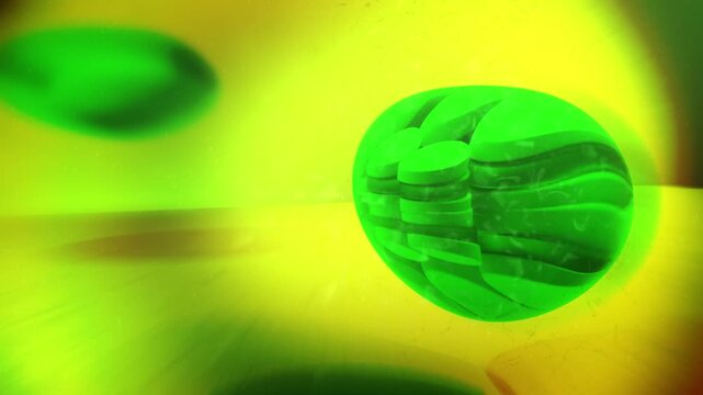 Chloroplast in a Plant Cell - Cinematic Animation ALT