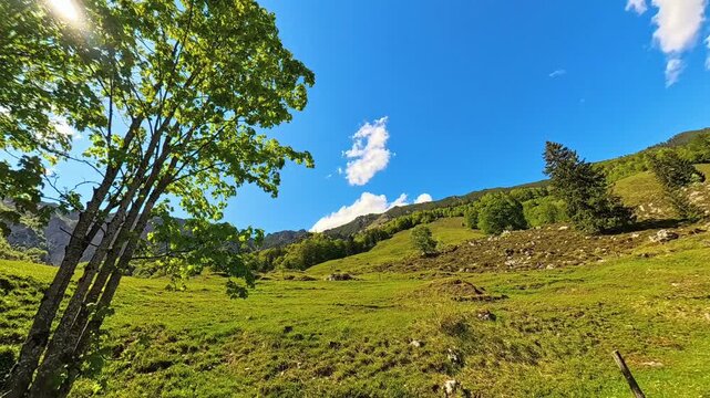 4K Timelapse alpine video with moving clouds at Kaiserbachtal valley, Griesenau, Wilder Kaiser, Kitzbuehel, Tyrol, Austria