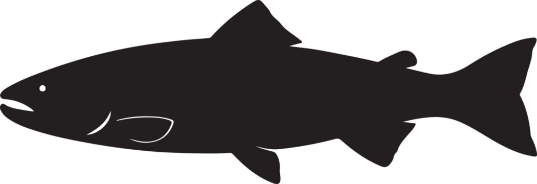 salmon vector illustration, 
