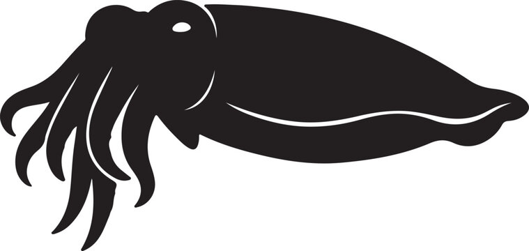 vector drawing of a fish