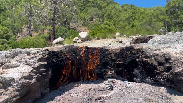 Flames rising from between the rocks at &Ccedil;ıralı Yanartaş. A horizontal shot of these mythological natural gas flames&mdash;a natural wonder&mdash;against the backdrop of a green pine forest.